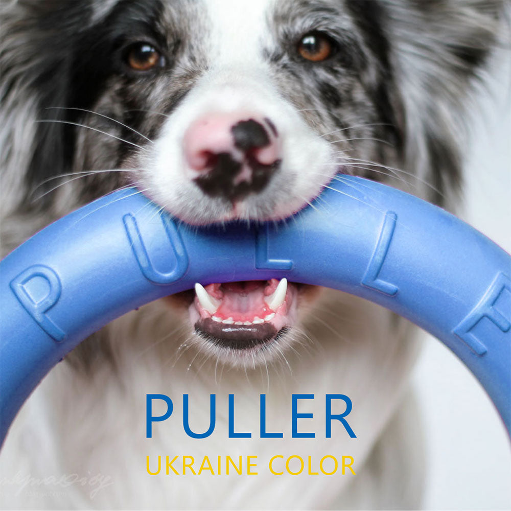 ウクライナのペットに支援できるワンちゃんのおもちゃ PULLER – いぬの