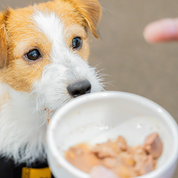 極旨!比内地鶏の愛犬ごはん【ささみ80g】