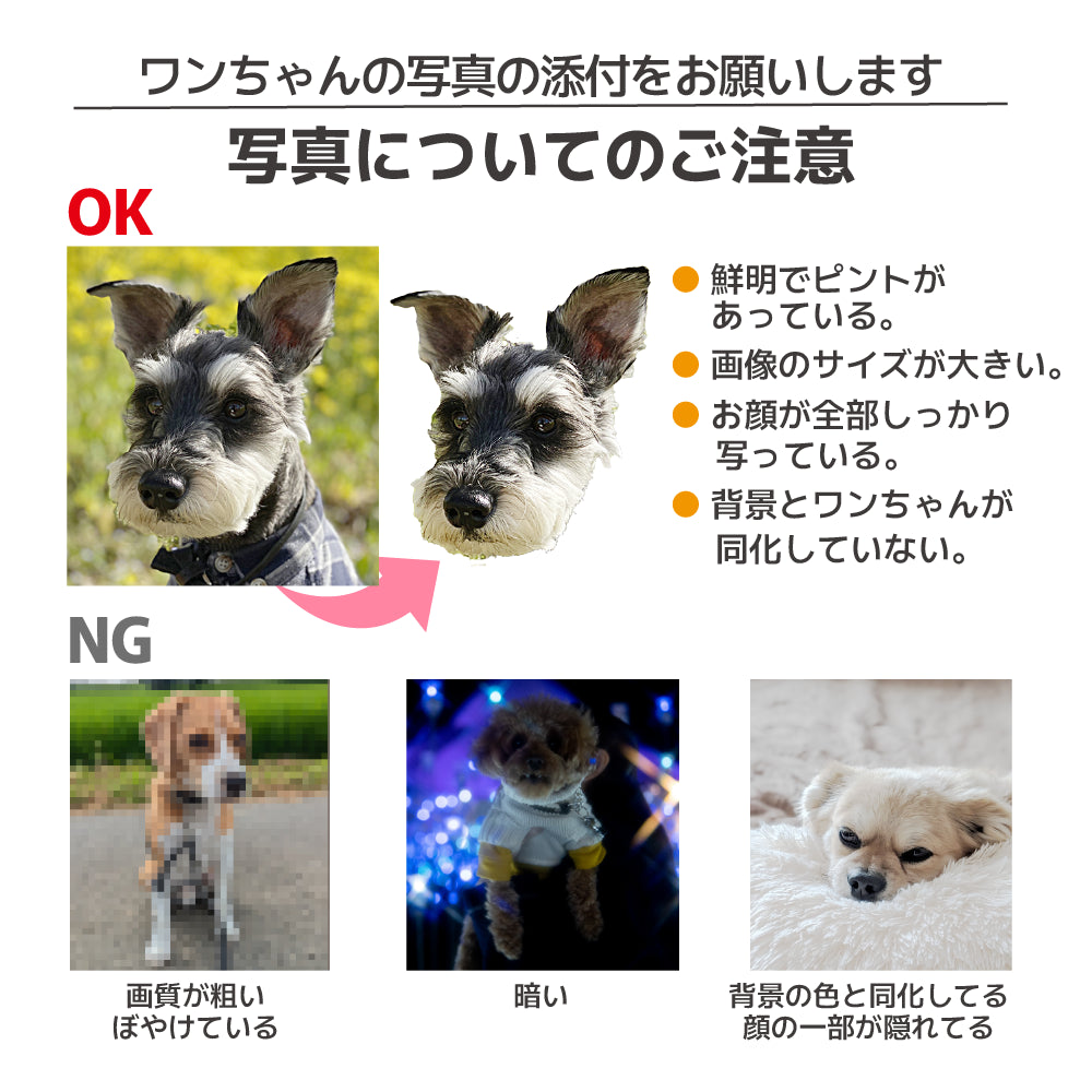 ワンちゃんの写真やお名前が入る！｜tower ペット用ボトル給水器スタンド