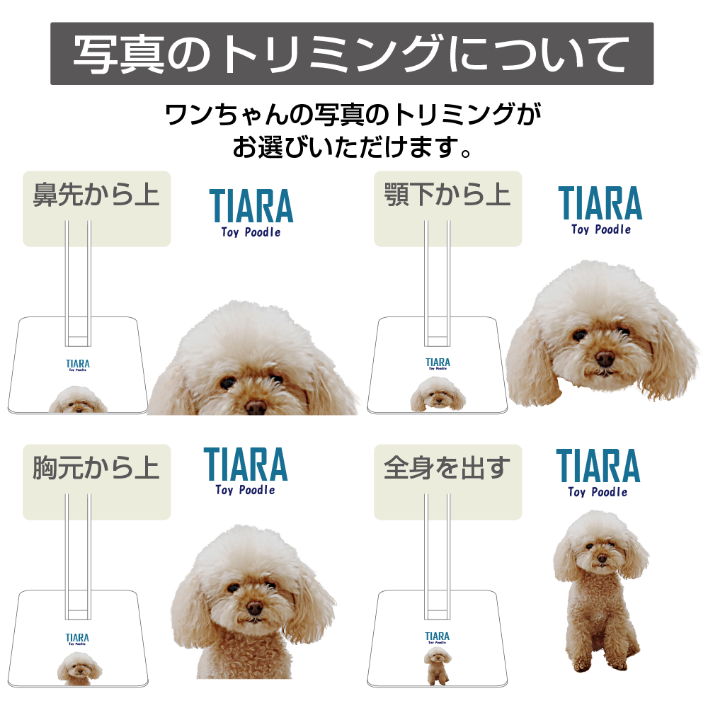 ワンちゃんの写真やお名前が入る！｜tower ペット用ボトル給水器スタンド