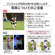 UNATOの保管に便利！愛犬の写真が入る名入れフードストッカー&UNATOセット