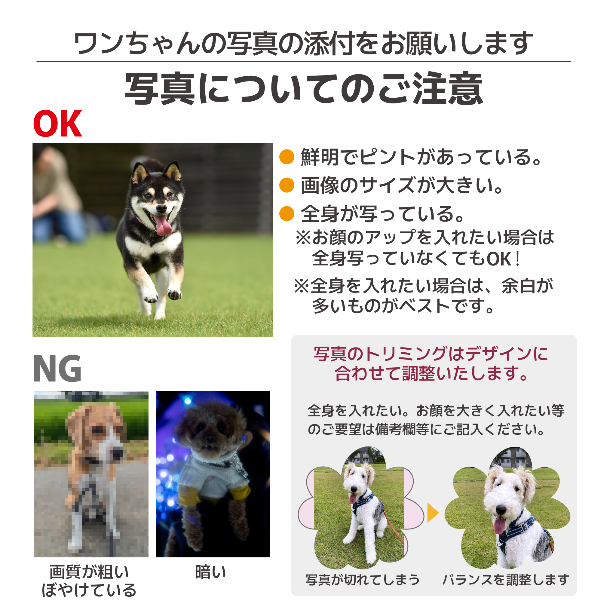 UNATOの保管に便利！愛犬の写真が入る名入れフードストッカー&UNATOセット