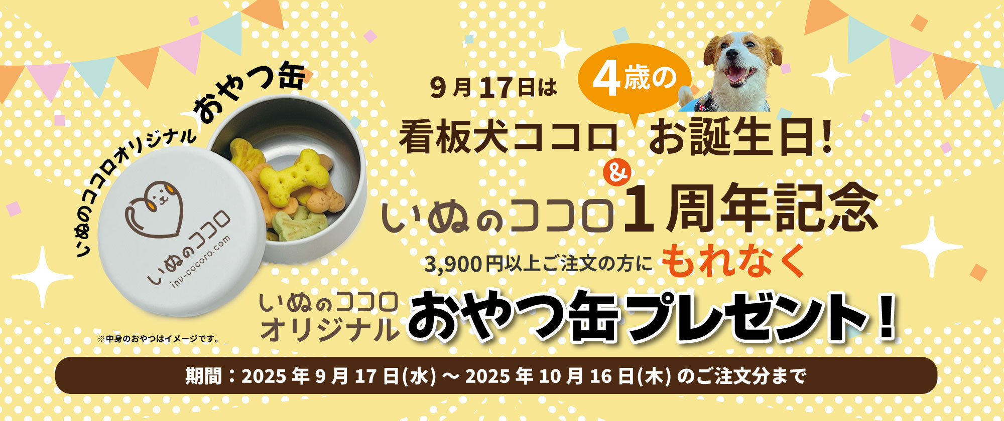 1stAnnversary_0fd3832f-3ac8-4b2e-b25c-964d95d751f7.jpg