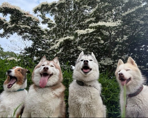 JACK＆MAYA＆NEO＆SHION