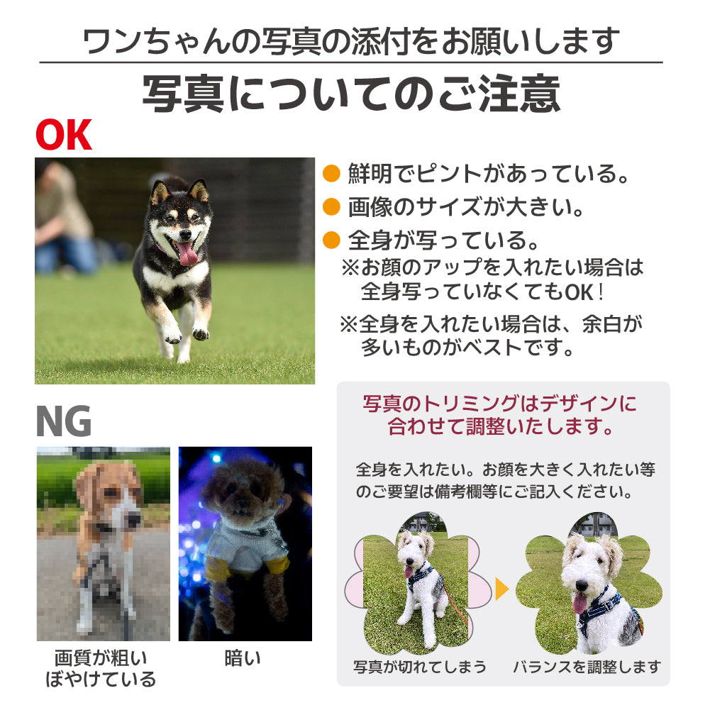JERRY公式コラボ！ ヒマラヤンチーズJERRY ＆ 写真や名前が入るフードストッカーセット