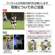 JERRY公式コラボ！ ヒマラヤンチーズJERRY ＆ 写真や名前が入るフードストッカーセット