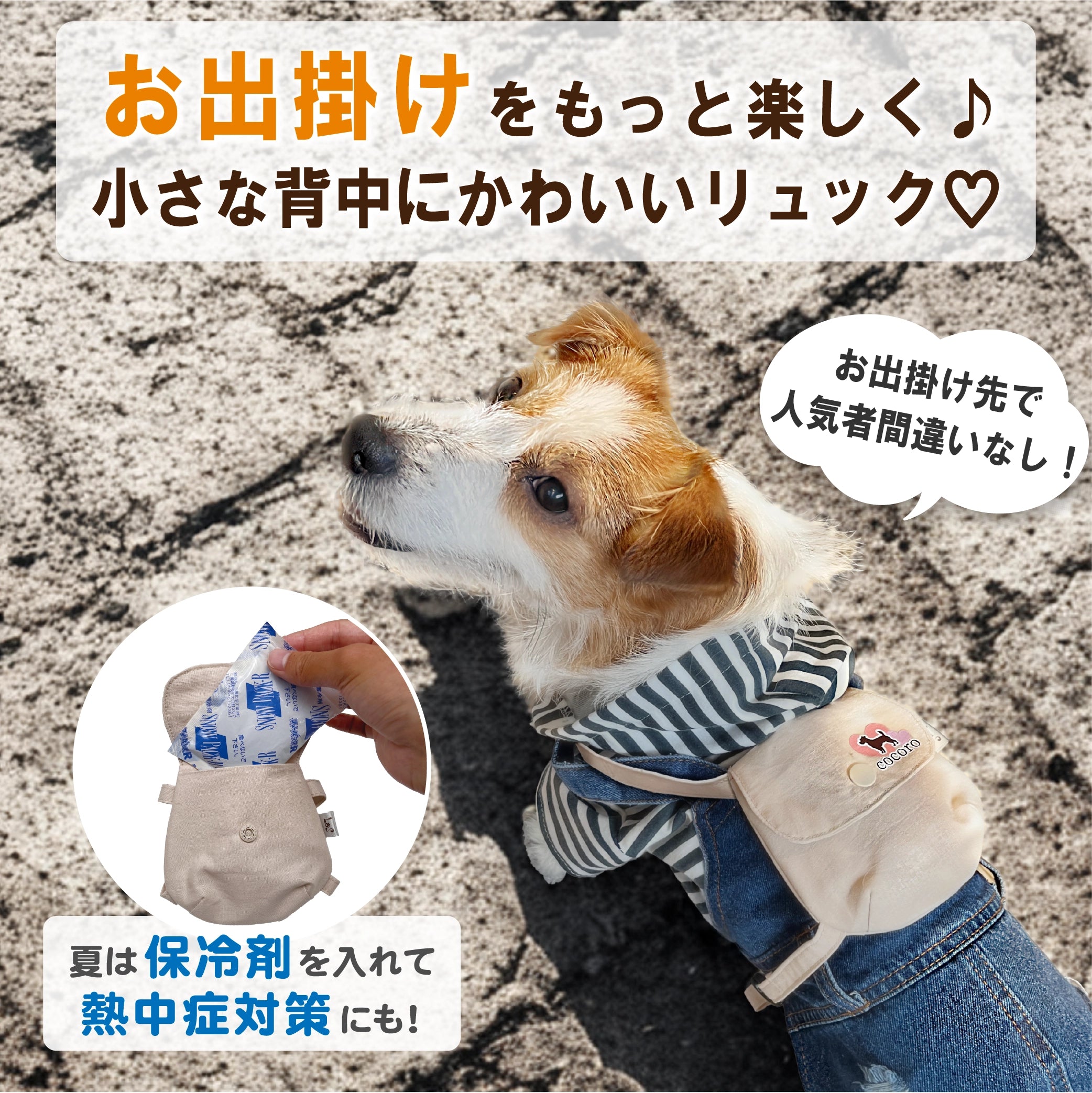 入園入学セット☆ダイエット犬☆レッスンバッグ☆お道具箱も入る☆お 入園入学セット☆ダイエット犬☆レッスンバッグ☆お道具箱も入る☆お