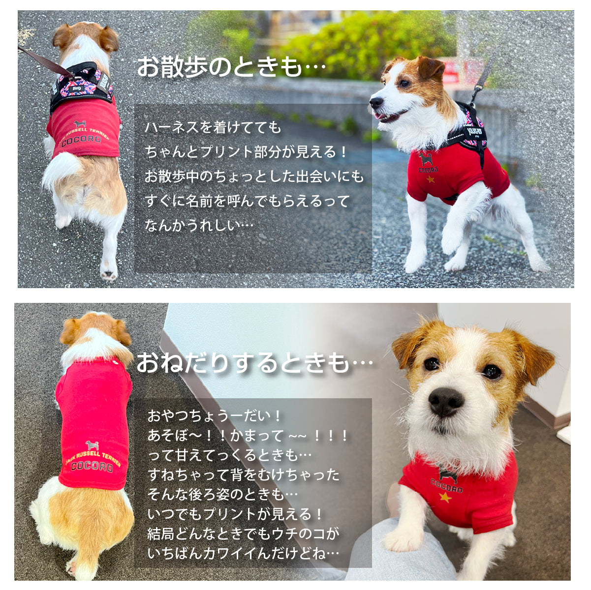 前にも後ろにも愛犬の名前が入る！ 日本製Tシャツ