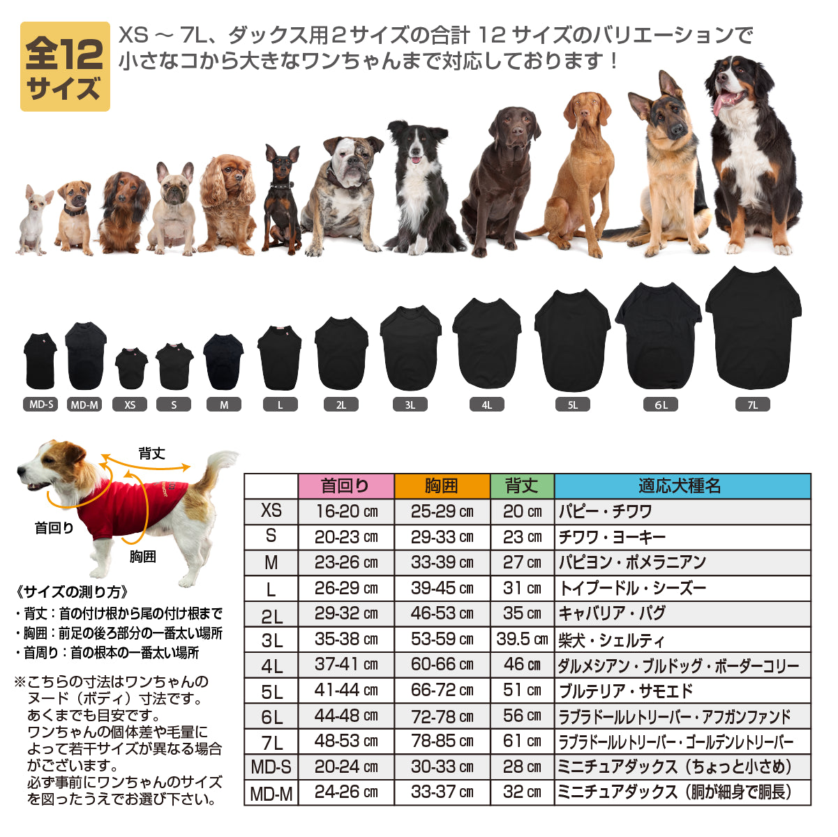 前にも後ろにも愛犬の名前が入る！ 日本製Tシャツ