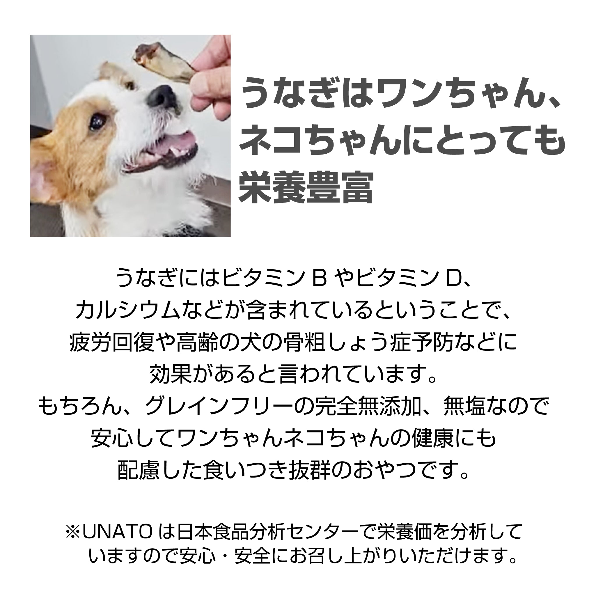 UNATOの保管に便利！愛犬の写真が入る名入れフードストッカー&UNATOセット