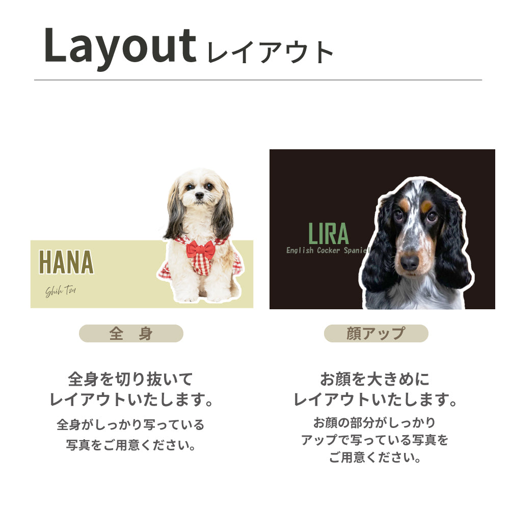 ペットの写真や名前が入る！ smart ウェットティッシュケース |山崎実業