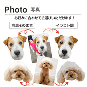 ペットの写真や名前が入る！ smart ウェットティッシュケース |山崎実業