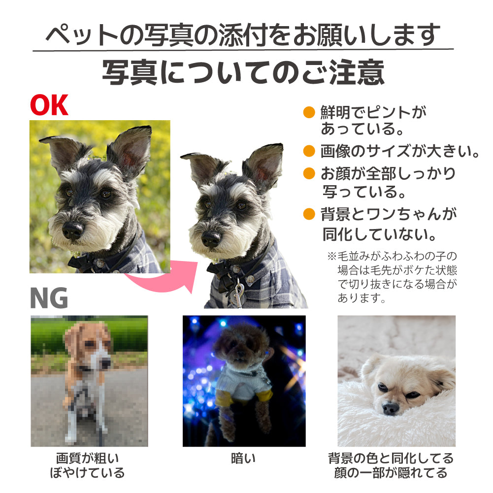 ペットの写真や名前が入る！ smart ウェットティッシュケース |山崎実業