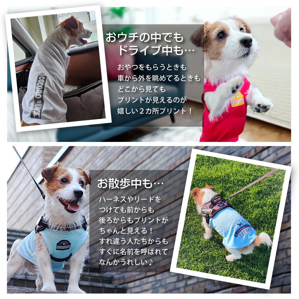 前にも後ろにも愛犬の名前が入る！ ドライメッシュタンク